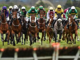 घोडो की दौड़